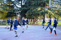 Aperto-5
