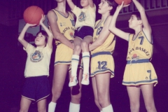 Stagione Sportiva 1987-1988
